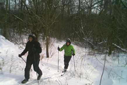 Picture1(23) 1