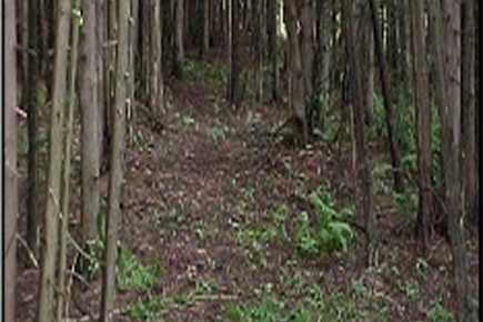 Picture1(23) 2